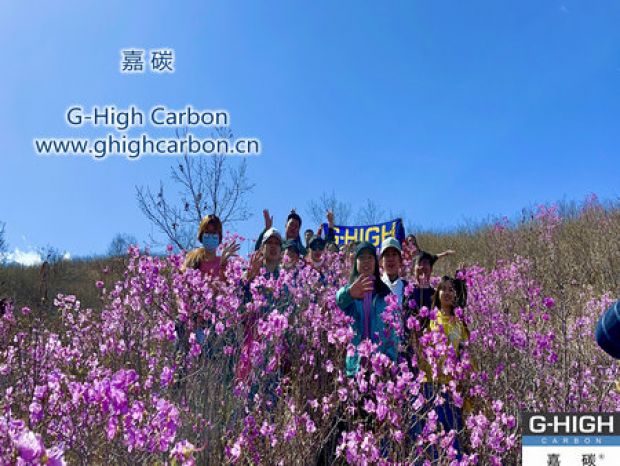 山野映山紅遍，嘉碳不負(fù)春光