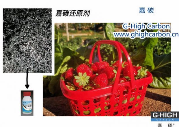 嘉碳還原劑守護(hù)“莓”好，甜蜜上線
