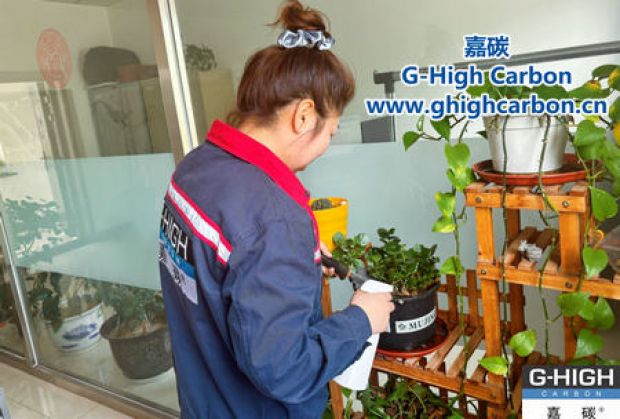 午休時光種花忙，美化辦公環(huán)境添綠意